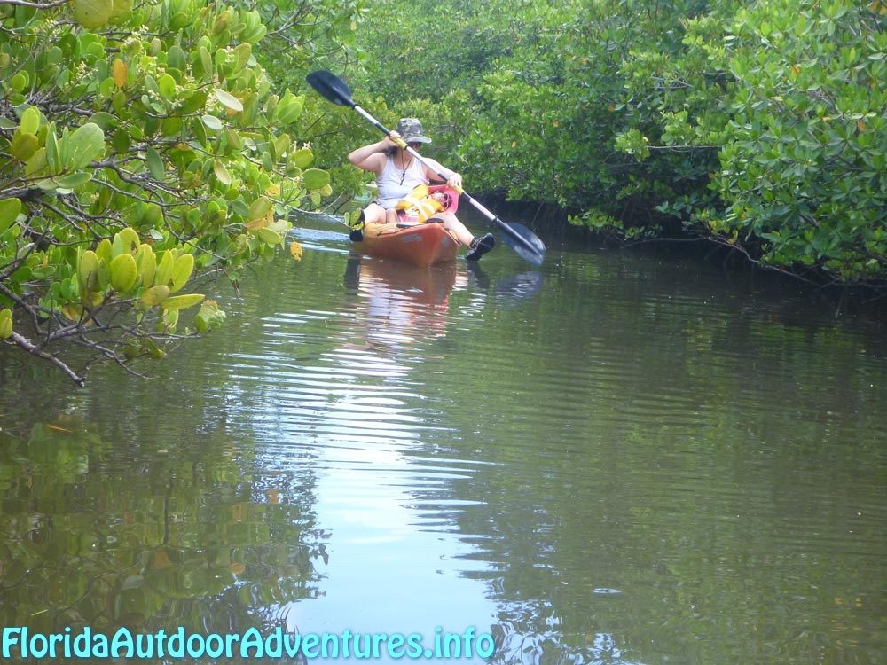 FloridaOutdoorAdventures.info-02.jpg